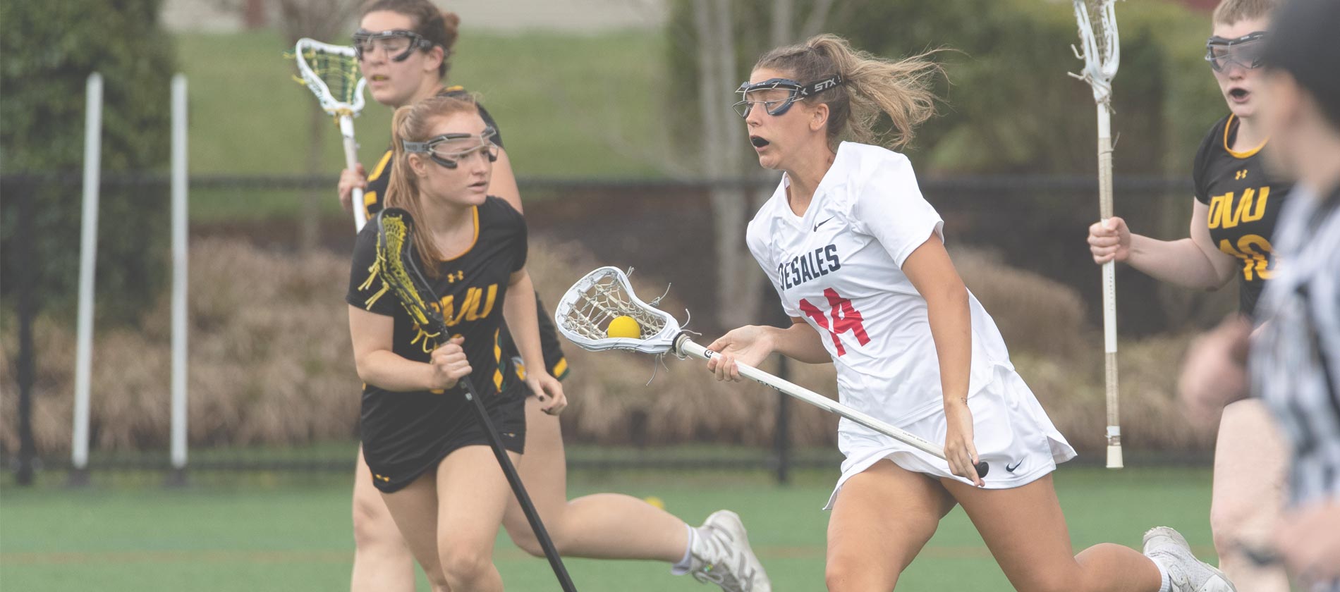 <h3>Bulldogs Lacrosse.</h3>